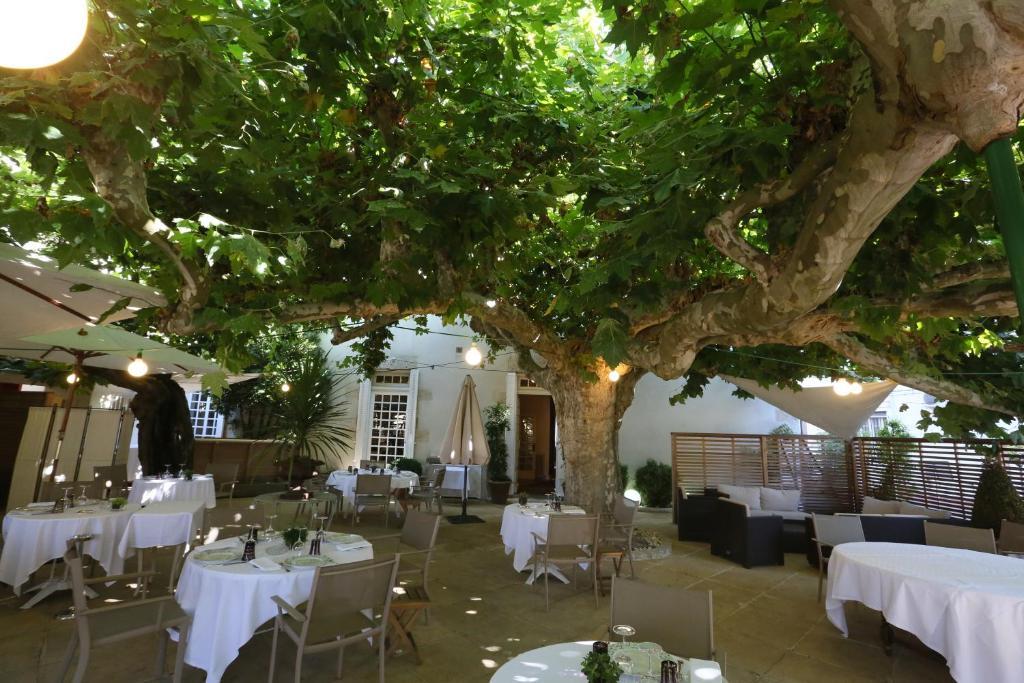 Hôtel Claude Darroze Langon  Buitenkant foto